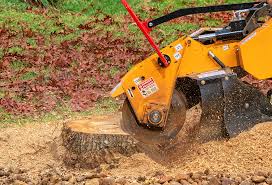 Best Aeration Services  in Dland, MI